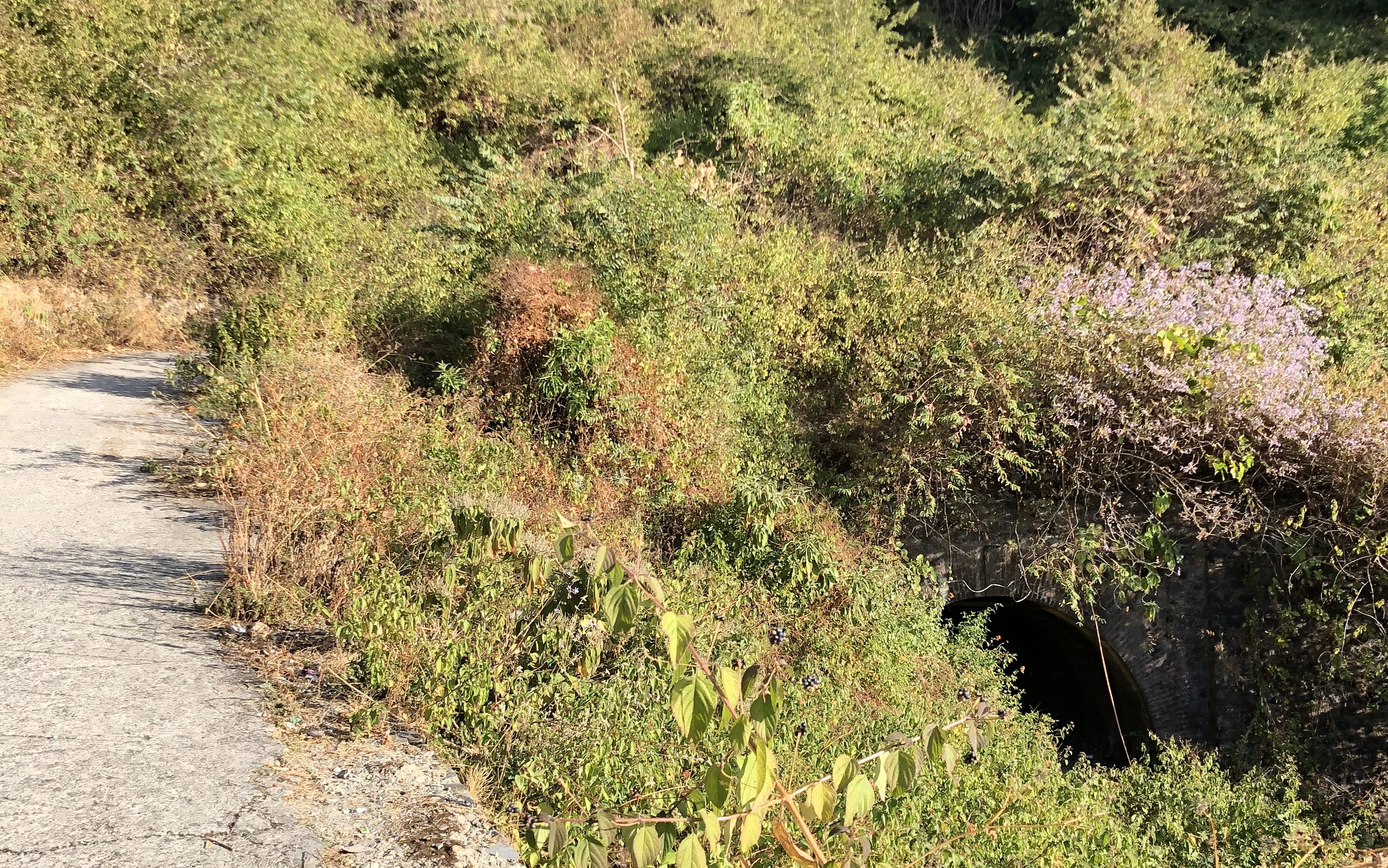 A dilapidated tunnel (part of the ambitious Dehradun - Mussoorie Electric Tramway project) is visible along the old bridle path or the Kipling trail from Rajpur to Mussoorie.
