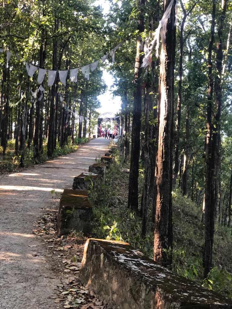 Way to Nalapani Fort (now a ruin) near Dehradun. The fort was destroyed by the British once they took over the area in November 1814.