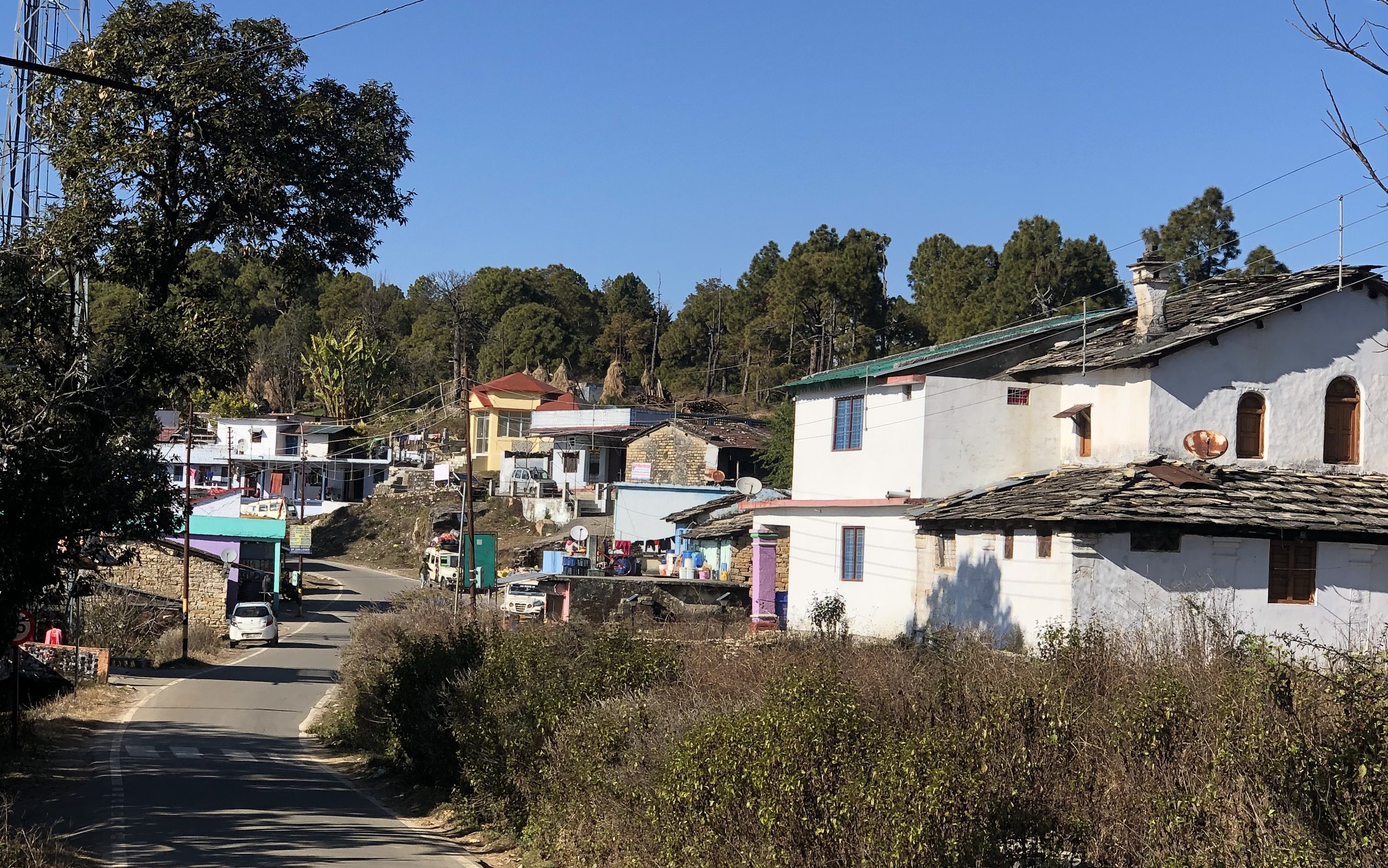 Vijaypur village (District Bageshwar)