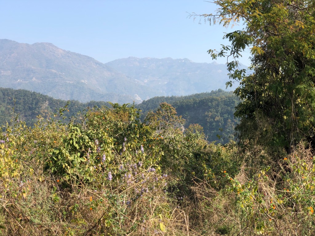 View of Mussoorie in the distance. Picture clicked enroute Santala Devi Temple trek