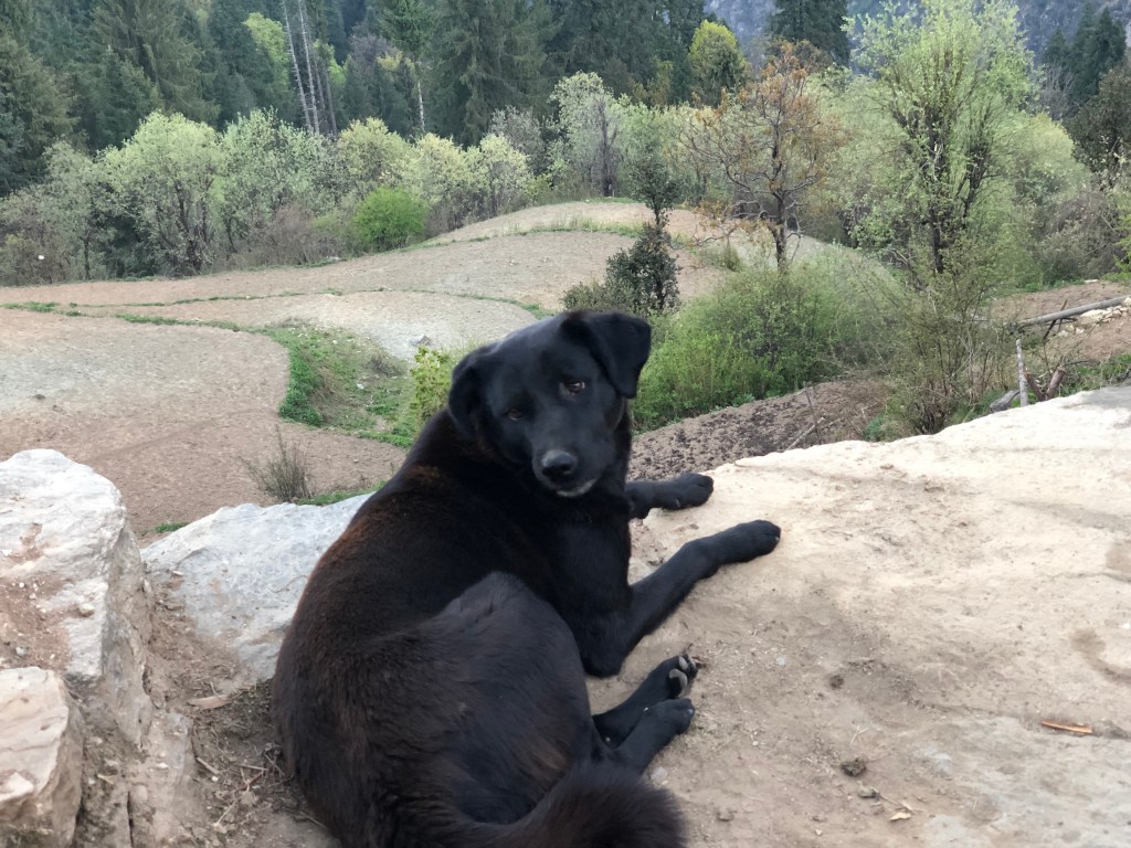 Enroute Gulabi Kantha Peak