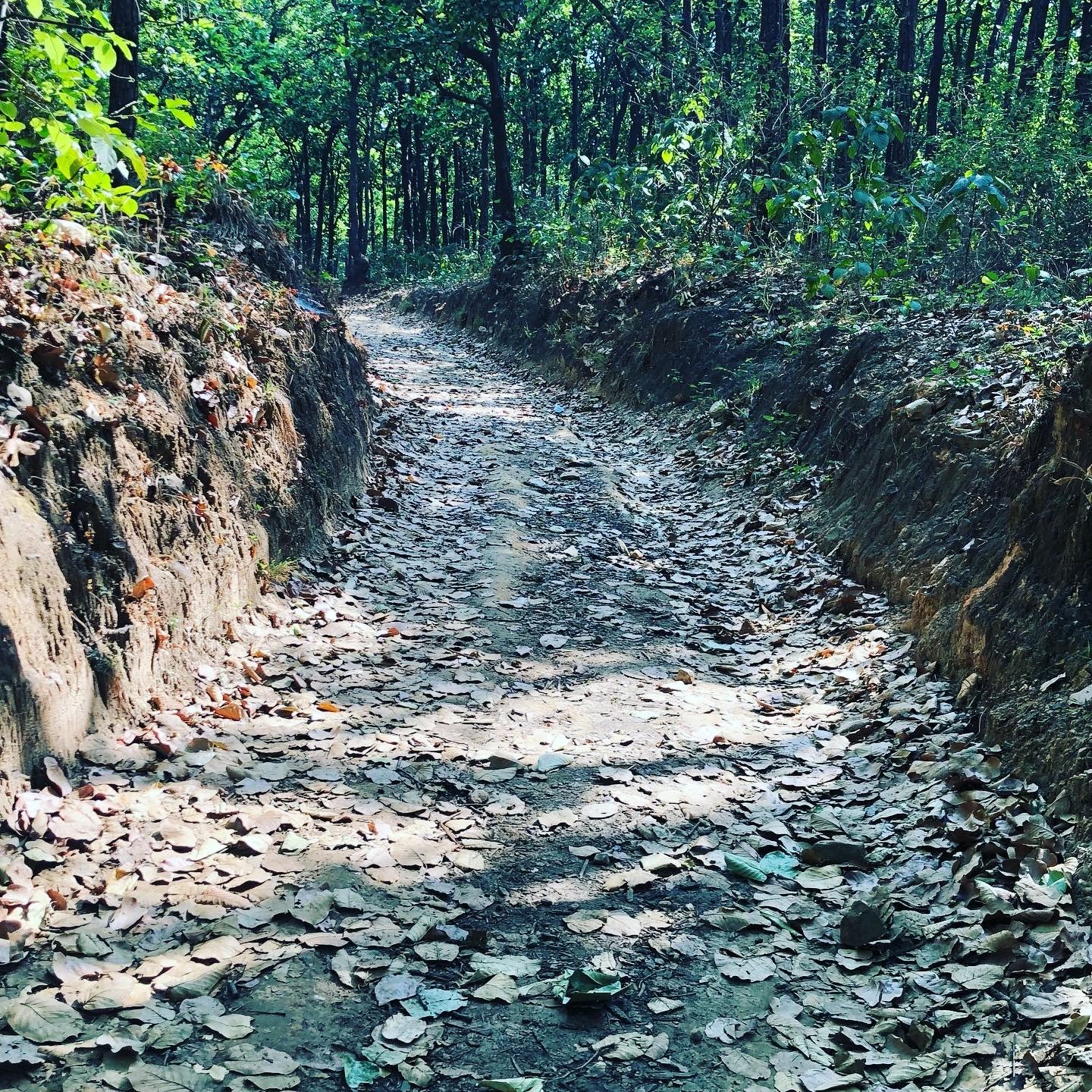 Sura Devi Temple Trail. Located near Rajpur Village (Dehradun)