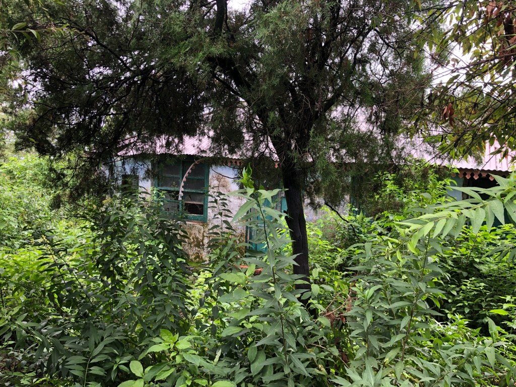 Half Way House , Jharipani