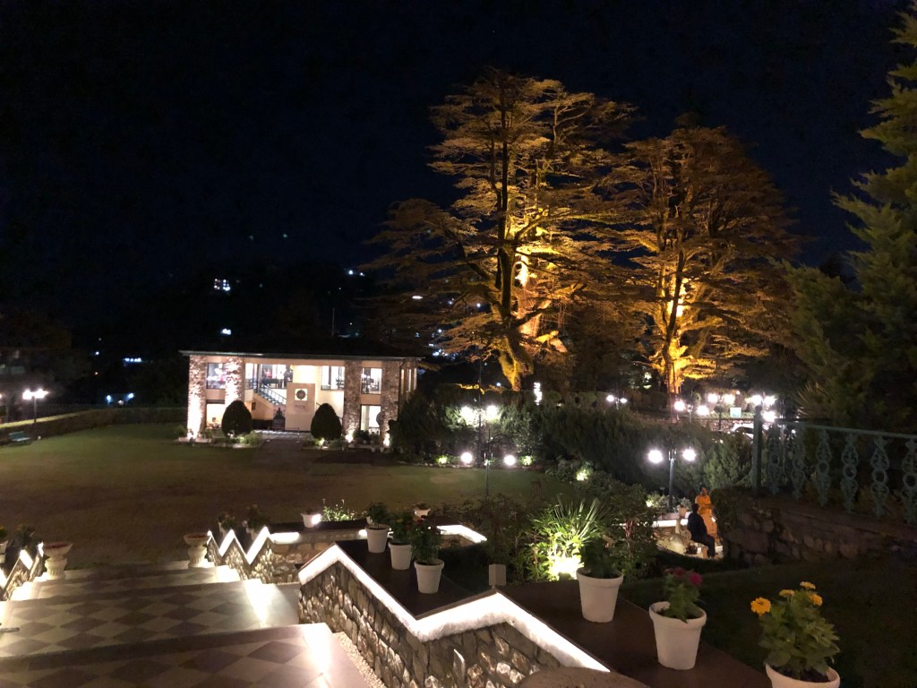 300 year old deodar tree at Hotel Savoy, Mussoorie