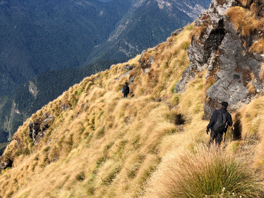 Rudranath - Mandal trek route. District Chamoli, Uttarakhand