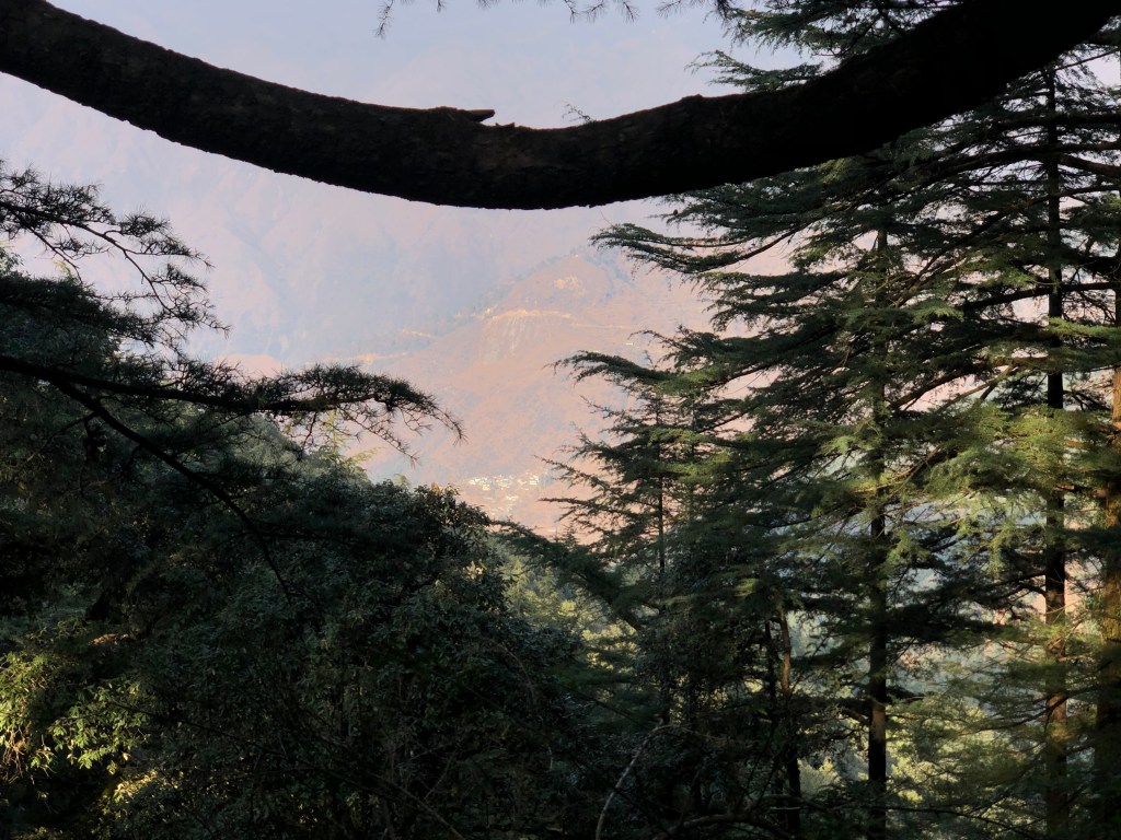 View of Kolti village from Sister's Bazar , Landour