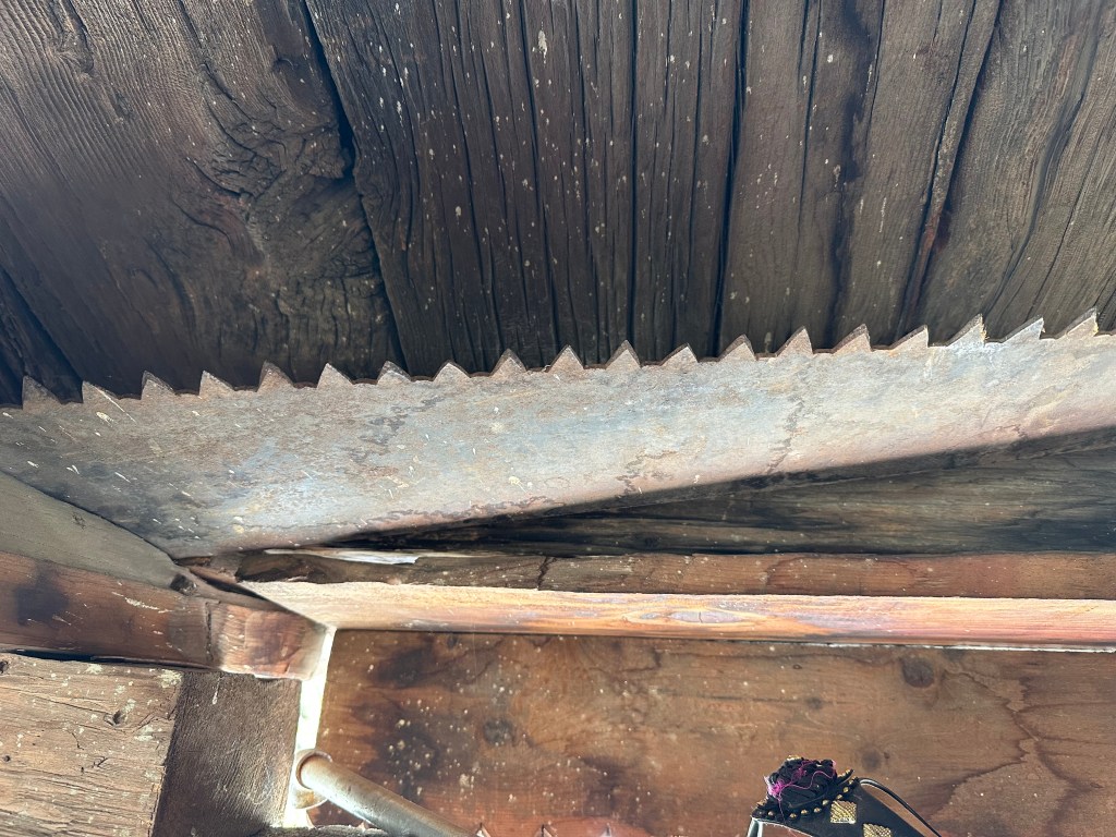 Cross-cut saw used by Frederick Wilson.