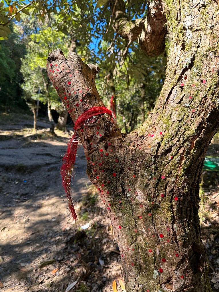 Van Devis (of Goddess of Forest). Enroute Kartik Swami Temple.