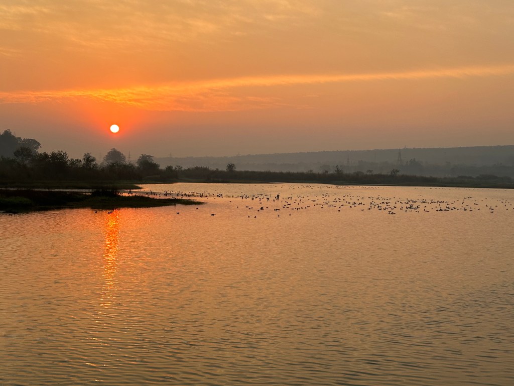 The morning sun casting its glow over the Assan barrage. 