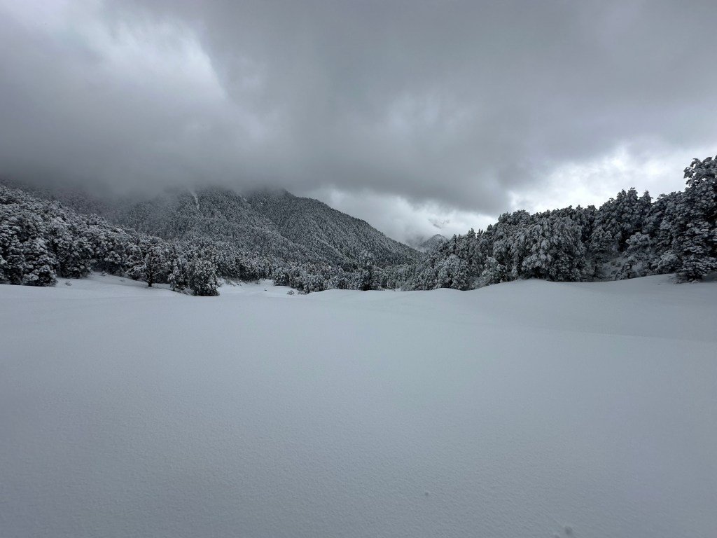 View of the landscape on the trek route to Barnala Lake. This trek can be undertaken from Barsu Village. District Uttarkashi (Uttarakhand)