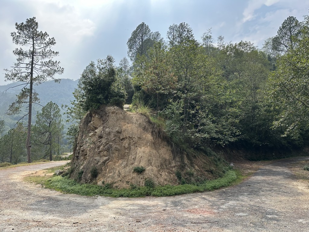 trek to Patangniya meadows. District Rudraprayag, Uttarakhand.

#treksinUttarakhand, #treksinUttarkashi, #weekendtreks