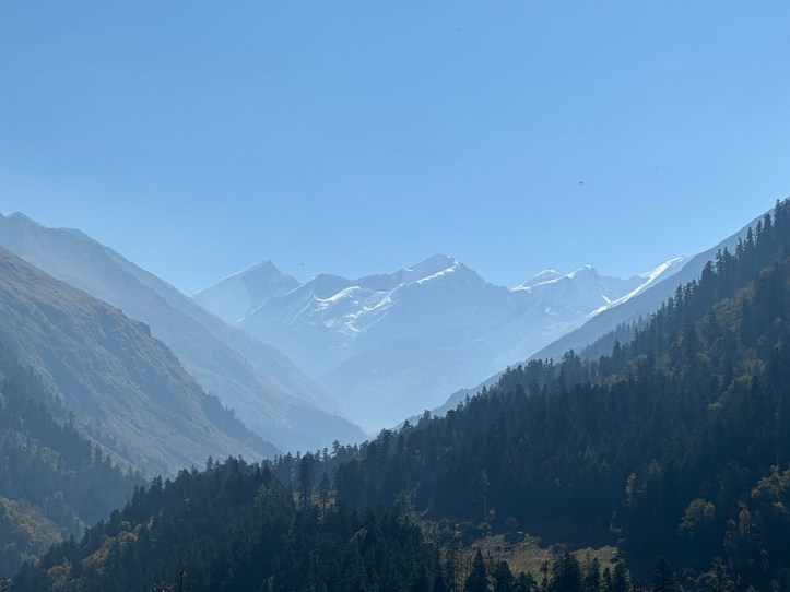 Enroute Har Ki Dun. mesmerizing views of Black Peak (Kalanag) and Bandarpoonch ranges. All 6000+ metre peaks. Incredible view.

#himalayas #garhwalhimalayas #harkiduntrek #treksinUttarakhand #Uttarakhandtreks #oslavillage