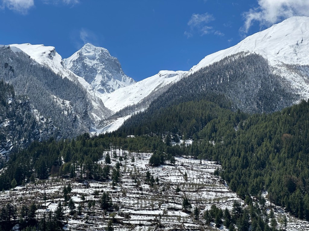 Sri Kantha peak, located in the Harsil valley, just above Dharali town. Splendid views of the peak visible from Mukhba village. Mukhba village is also Goddess Ganga's Winter abode. #himalayas #uttarakhandpeaks #harsilvalley #pahad #devbhoomiUttarakhand #travelinUttarakhand #visitUttarakhand #snowpeaks #Uppertaknorevalley #Gangotridham #Bhagirathiriver #Incredibleindia #incredibleUttarakhand