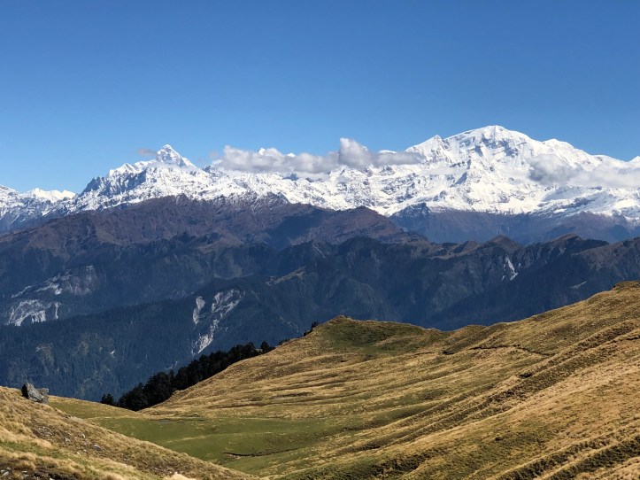 Nanda Devi (western face) visible from Panar Bugyal, enroute to Rudranath temple, district Chamoli, Uttarakhand. 
Mount Trishul is also visible. 

#devbhoomi #devbhoomiUttarakhand #Nandadevipeak #rudranath #panchkedar #himalayanview #trkesinUttarakhand #Uttarakhandtreks #hiking #Garhwalregion #meadows #snowpeaks #Garhwalhimalayas #incredibleIndia
