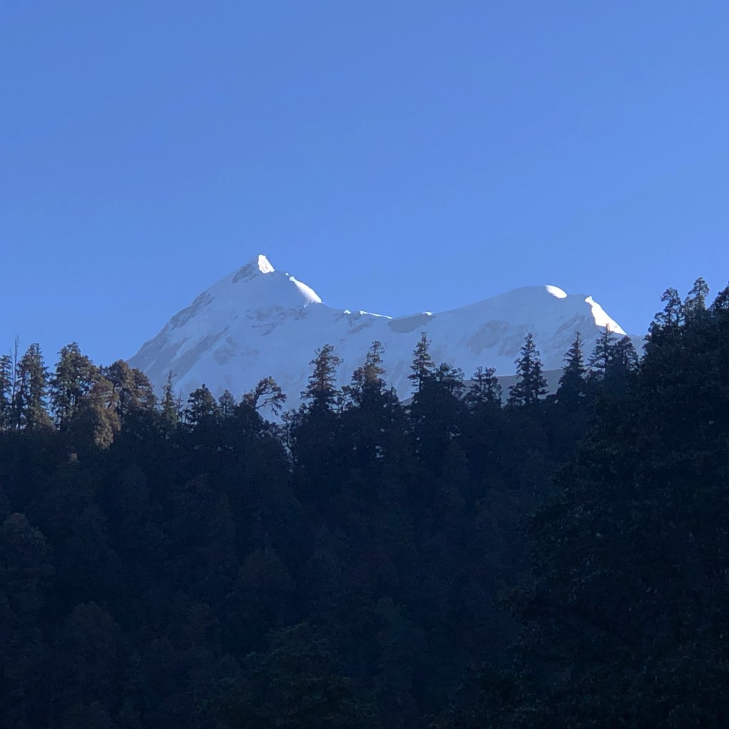 View of Trishul Peak from Gairoli Patal.
This peaceful rest point lies between Wan village and Bedni Bugyal. Set amidst dense forests, it sits in the Chamoli district of Uttarakhand.
#DevbhoomiUttarakhand #trekking #TreksInUttarakhand #hiking #HimalayanViews #camping
