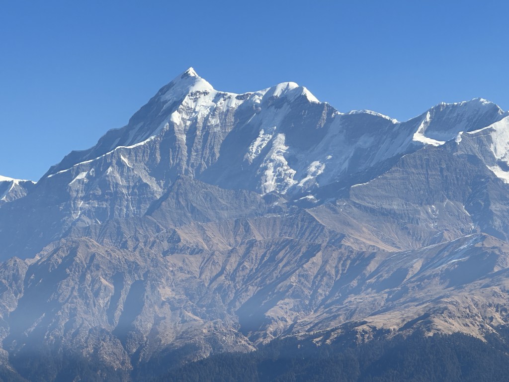 View of Trishul Peak from Gairoli Patal.
This quiet rest point, tucked between Wan village and Bedni Bugyal, sits amidst dense forests in Chamoli district of Uttarakhand.
#DevbhoomiUttarakhand #Trekking #TreksInUttarakhand #Hiking #HimalayanViews #Camping