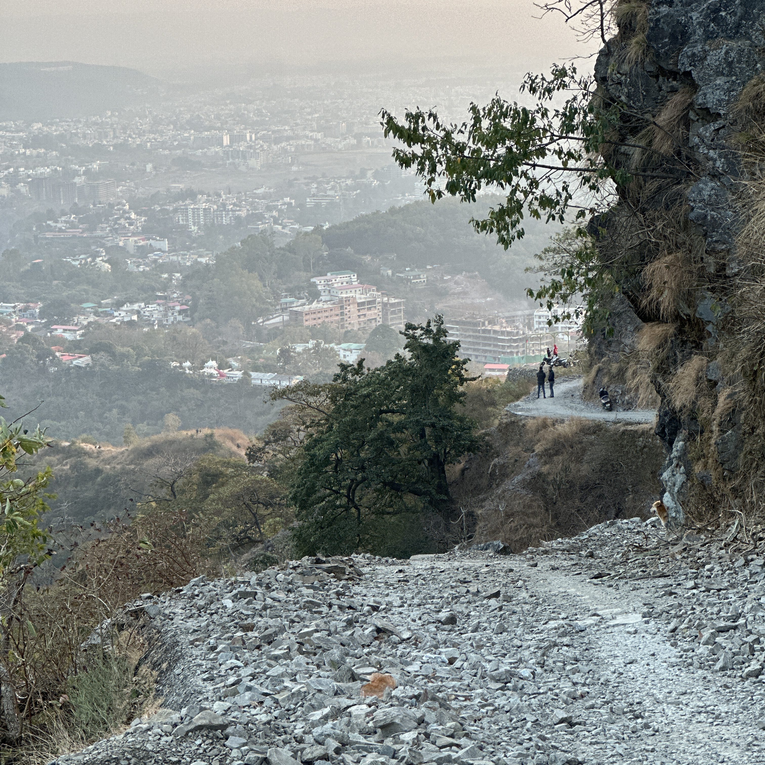 Trudging back to our base, retracing steps towards Shehenshahi Ashram. As we gently descend, the Doon Valley unfolds in the fading glow of the evening sun. And with every turn bringing our destination closer, a quiet excitement rises within. #eveningwalk #doonvalley #mussoorietrails #sunsetvibes #jharipanitrail #returnjourney #trailstories #mussooriewalk #trekking #hiking #dehradunwalk #shehenshahiashram #kairwaangaon