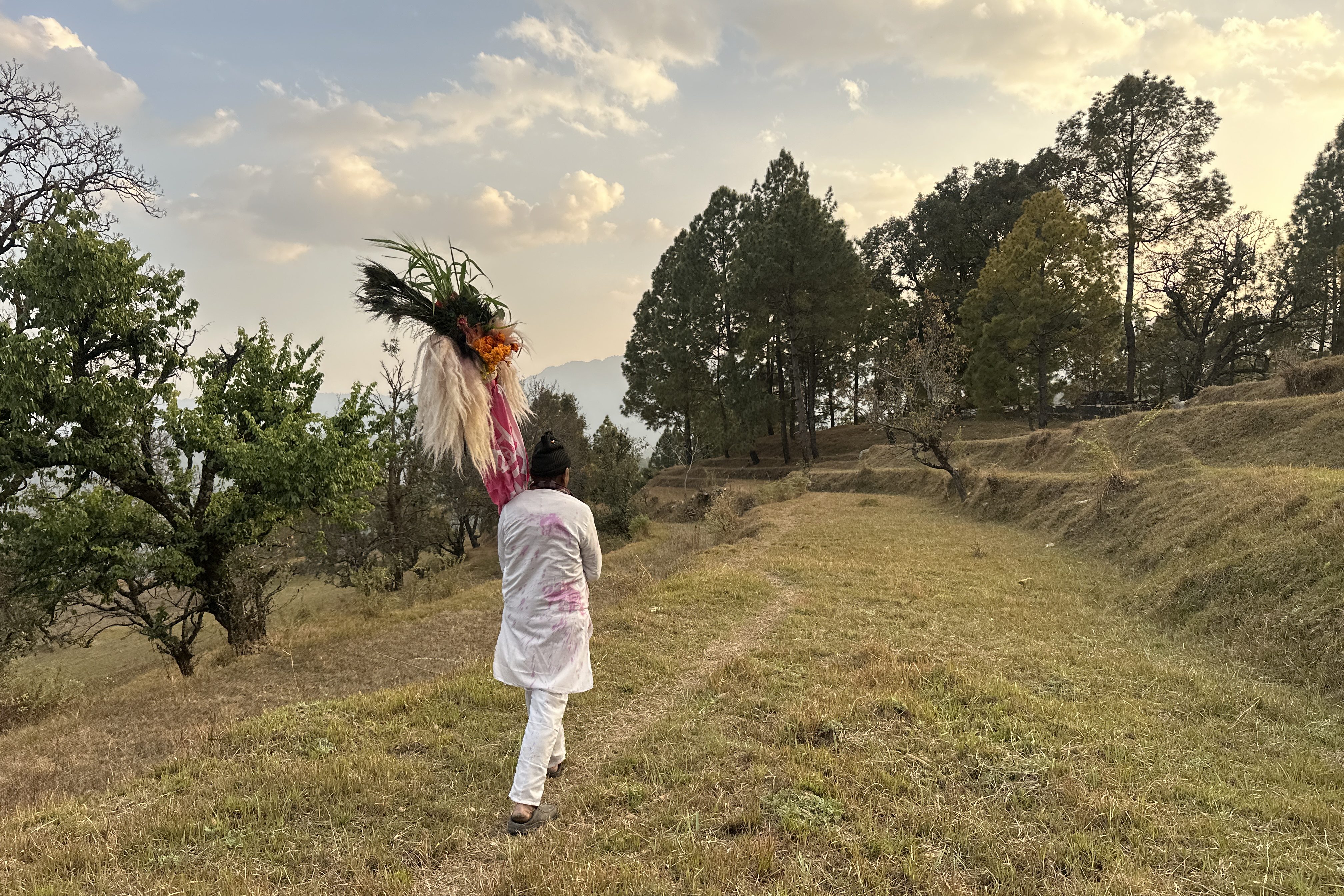 a villager carries the Nishan as he passes through the terraced fields. Village Bana, Berinag block, Pithoragarh, Uttarakhand #Uttarakhandculture #Pahadiholi #KumaoniHoli #mountainlife #incredibleIndia #DevbhoomiUttarakhand