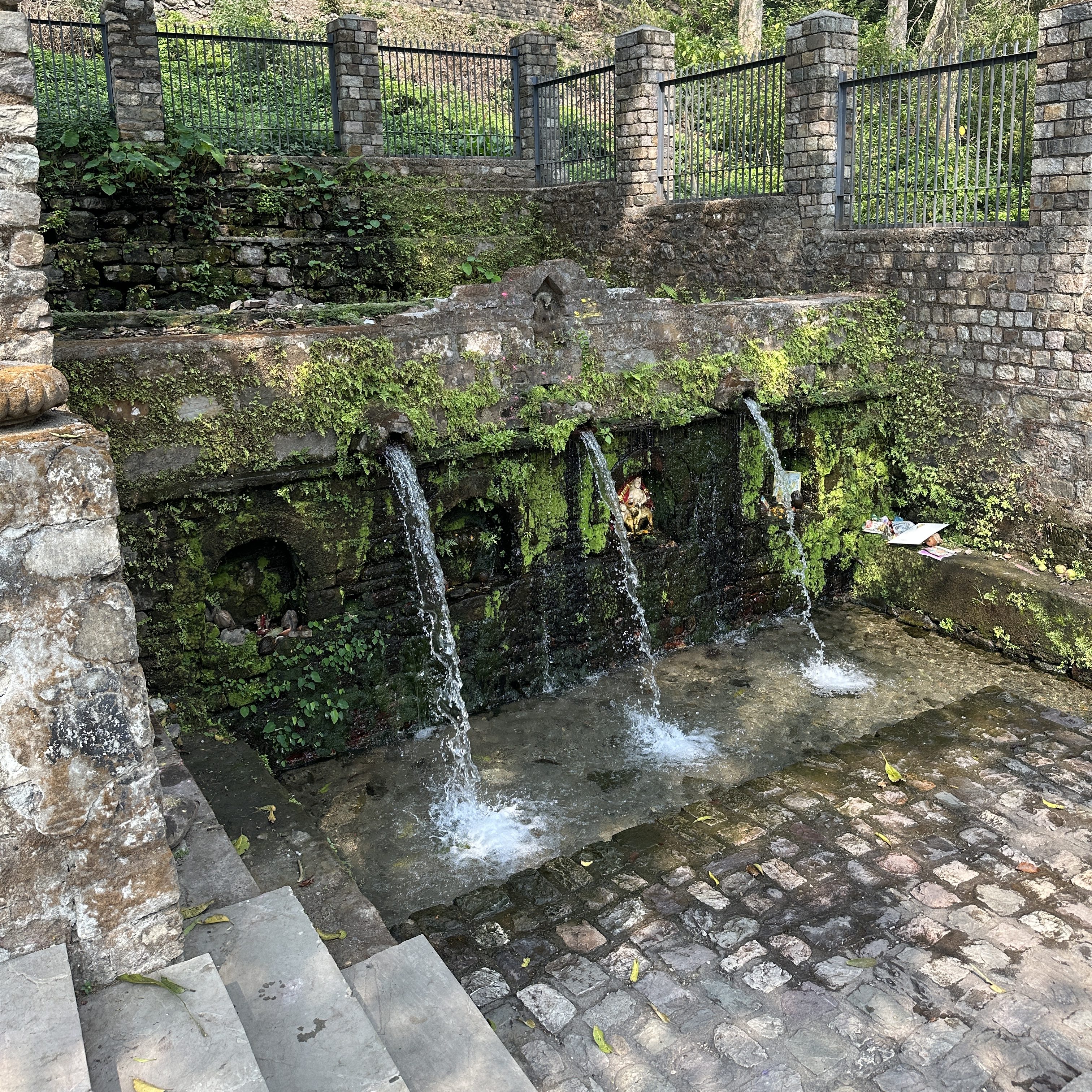 Spring-fed water source at the Sitabani (Sitavani) temple complex. nestled inside the Sitabani forest reserve, buffer zone of Jim Corbett National Park. Ramnagar, district Nainital, Uttarakhand #valmiki #templesofUttarakhand #Sitatemple #Siteshwarmahadev #Devbhoomi