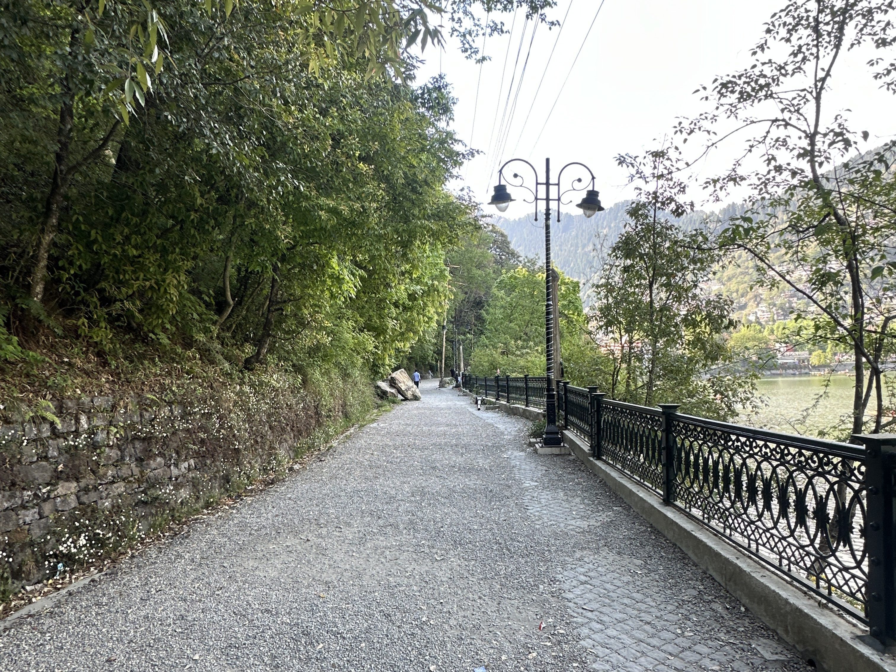 Along the edges of Naini Lake, away from the noise, Thandi Sadak remains one of the most pleasant walks in Nainital. #ThandiSadak #Nainital #NainiLake #Kumaon #Uttarakhand #Pahad #EveningWalks #LakeSideWalk #MountainMemories #TravelDiaries #QuietPlaces #HimalayanLife #DevbhoomiUttarakhand