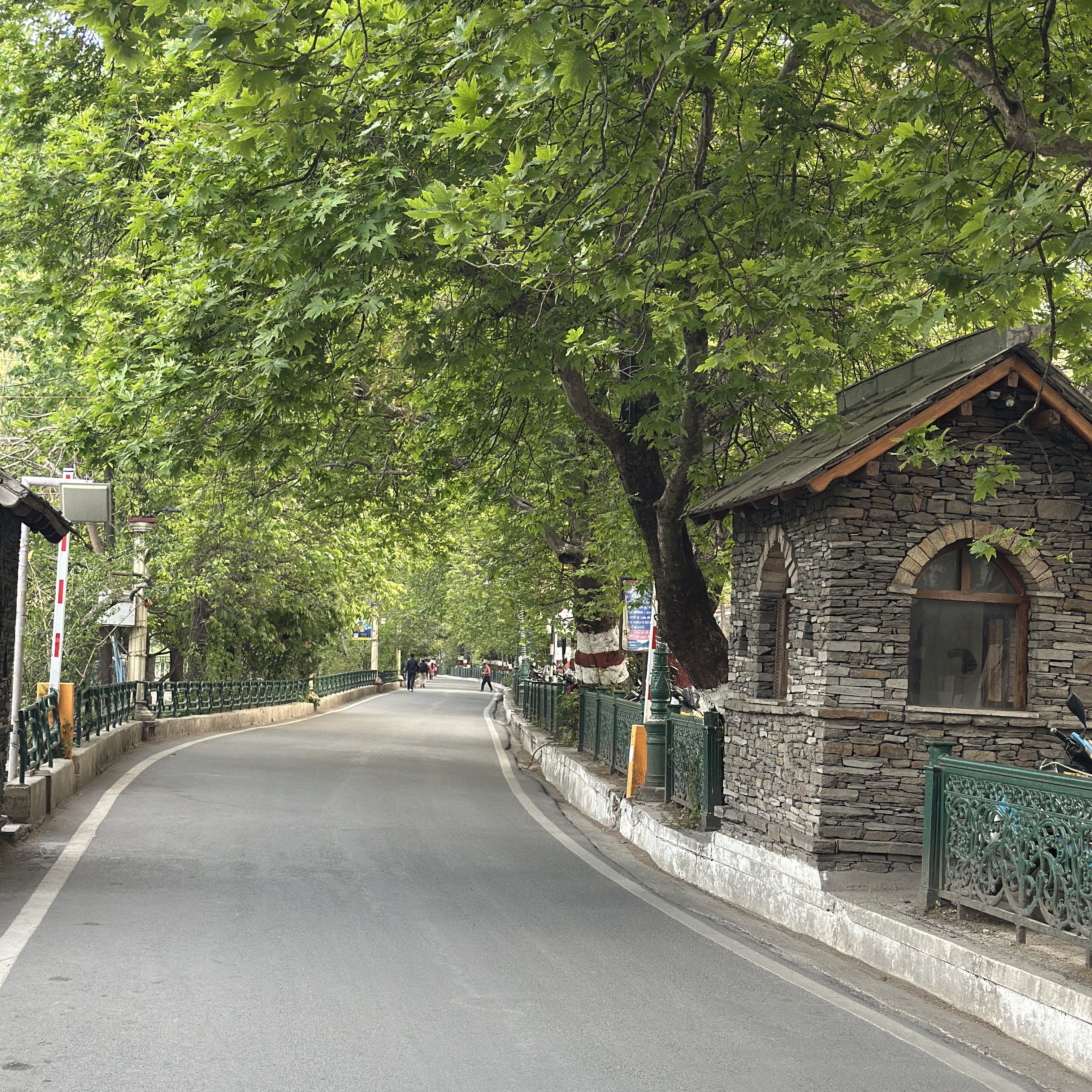 The Mall Road, stretching gracefully from Tallital to Mallital, with Naini Lake along its edges. #MallRoad #Nainital #NainiLake #Tallital #Mallital #Kumaon #Uttarakhand #Pahad #HillStation #MountainLife #TravelDiaries #WalkingInNainital #MemoriesOfNainital #LakeSideWalk #HimalayanTowns #DevbhoomiUttarakhand #visitNainital #HillstationsofIndia