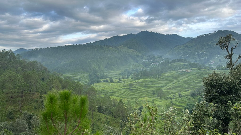 Rain-washed terraced slopes on the way to Takula along the Almora–Bageshwar road in Kumaon, Uttarakhand, looking fresh and vibrant during the monsoon.