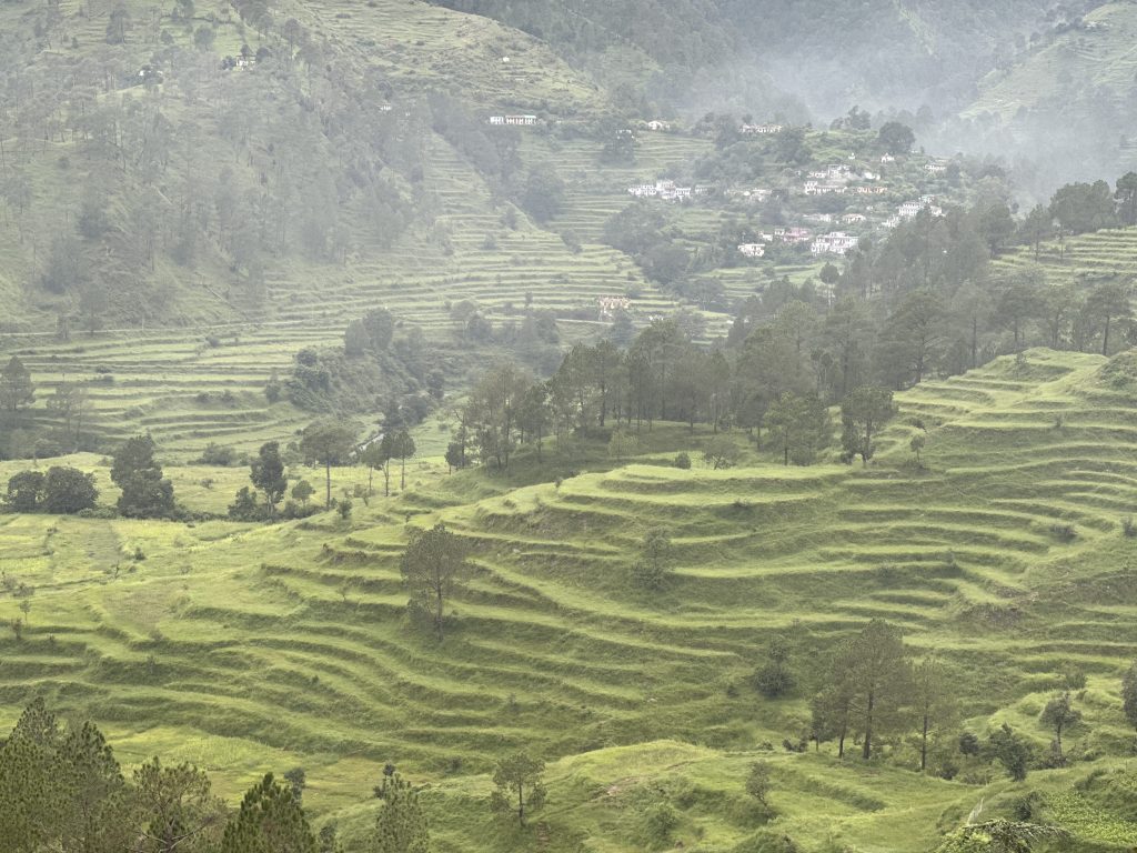 Rain-washed terraced slopes on the way to Takula along the Almora–Bageshwar road in Kumaon, Uttarakhand, looking fresh and vibrant during the monsoon.