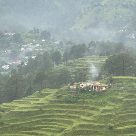 Rain washed terraced fields | Binsar Valley, Almora, Uttarakhand. Monsoon time